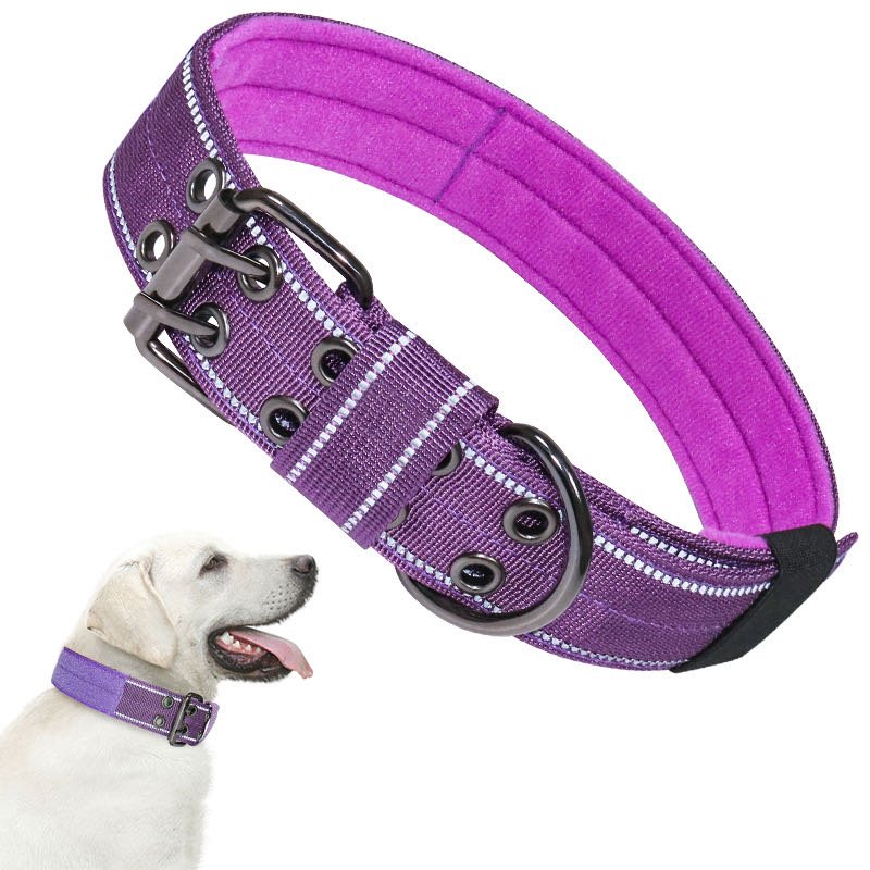 Purple padded reflective dog collar with double-prong metal buckle and inner lining