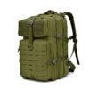 Military Tactical EDC Backpack 25L MOLLE green