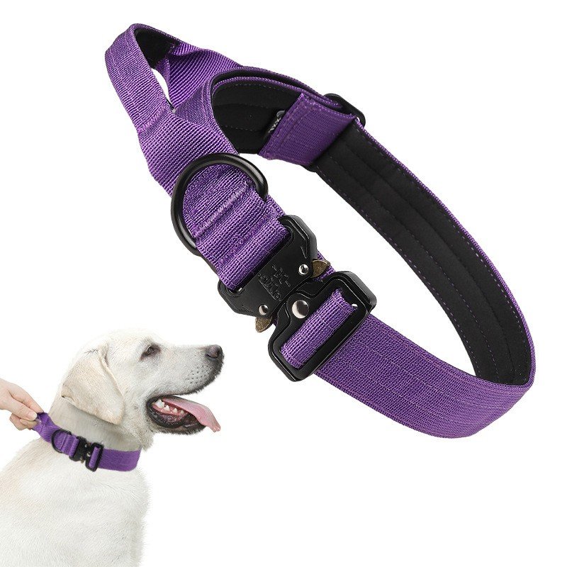 Purple tactical dog collar with handle, quick-release buckle and padded inner panel