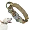 O1CN01UymfU21VFq3KYe1j0_!!4128902624-0-cib Military Grade MOLLE Tactical Dog Collar - Adjustable Reflective