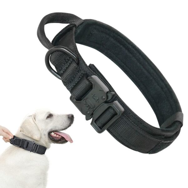 O1CN01iqpNwY1VFq3UENz3G_!!4128902624-0-cib Military Grade MOLLE Tactical Dog Collar - Adjustable Reflective