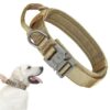 O1CN01vTLjw91VFq3VL3iZm_!!4128902624-0-cib Military Grade MOLLE Tactical Dog Collar - Adjustable Reflective
