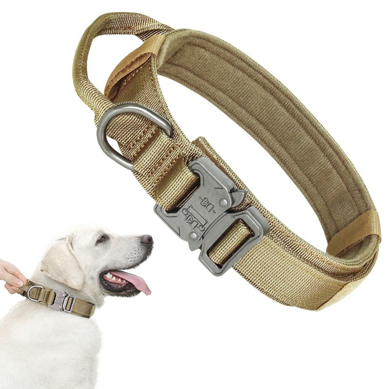 Tan padded dog collar with handle, ring and metal buckle