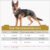 尺码建议2 tactical dog vest OEM manufacturer wholesale bulk order China