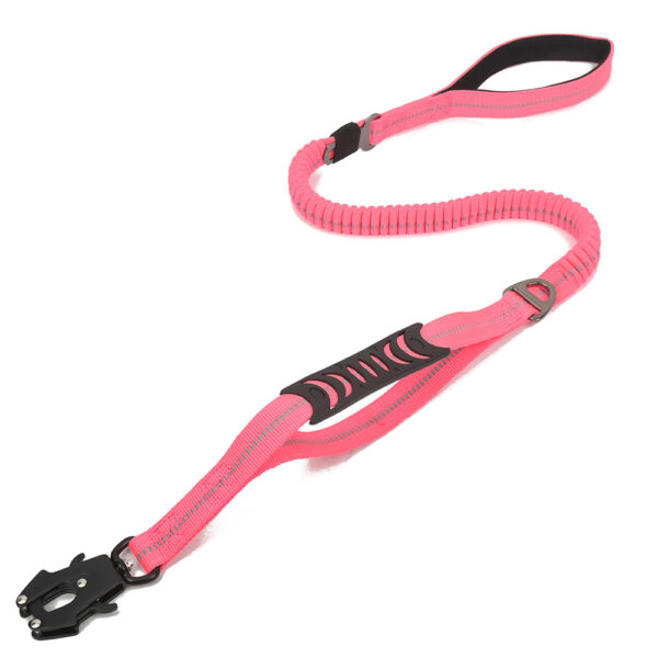 _202501041905252 Aviation aluminum dog leash
