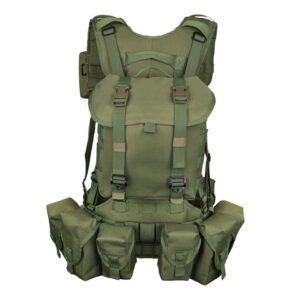 1 Rear view of a military load bearing harness showing the padded waist belt and Y-strap - PANOAR