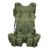Rear view of a military load bearing harness showing the padded waist belt and Y-strap - PANOAR