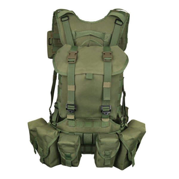 Rear view of a military load bearing harness showing the padded waist belt and Y-strap - PANOAR