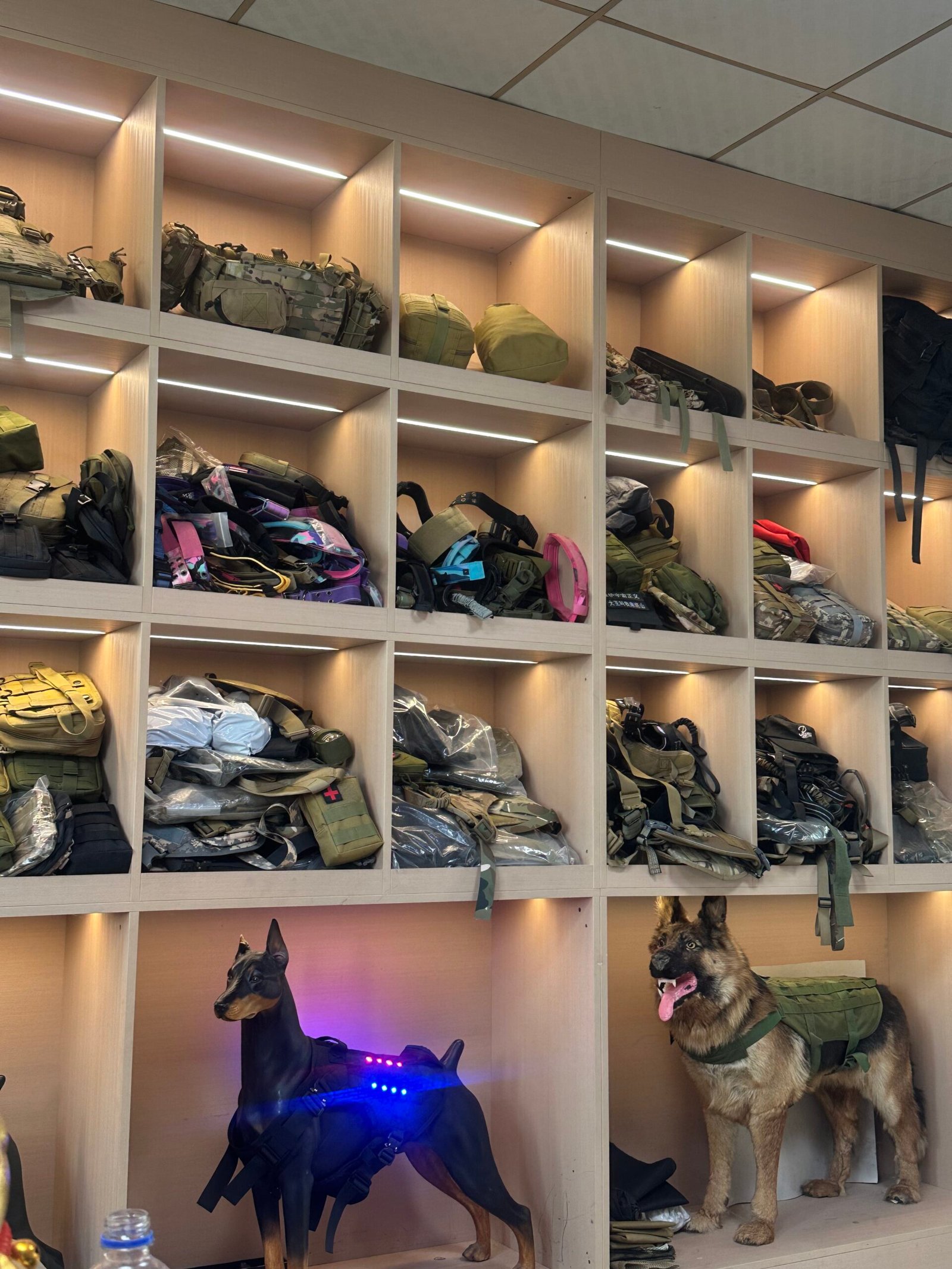 tactical plate carrier OEM manufacturer wholesale China factory