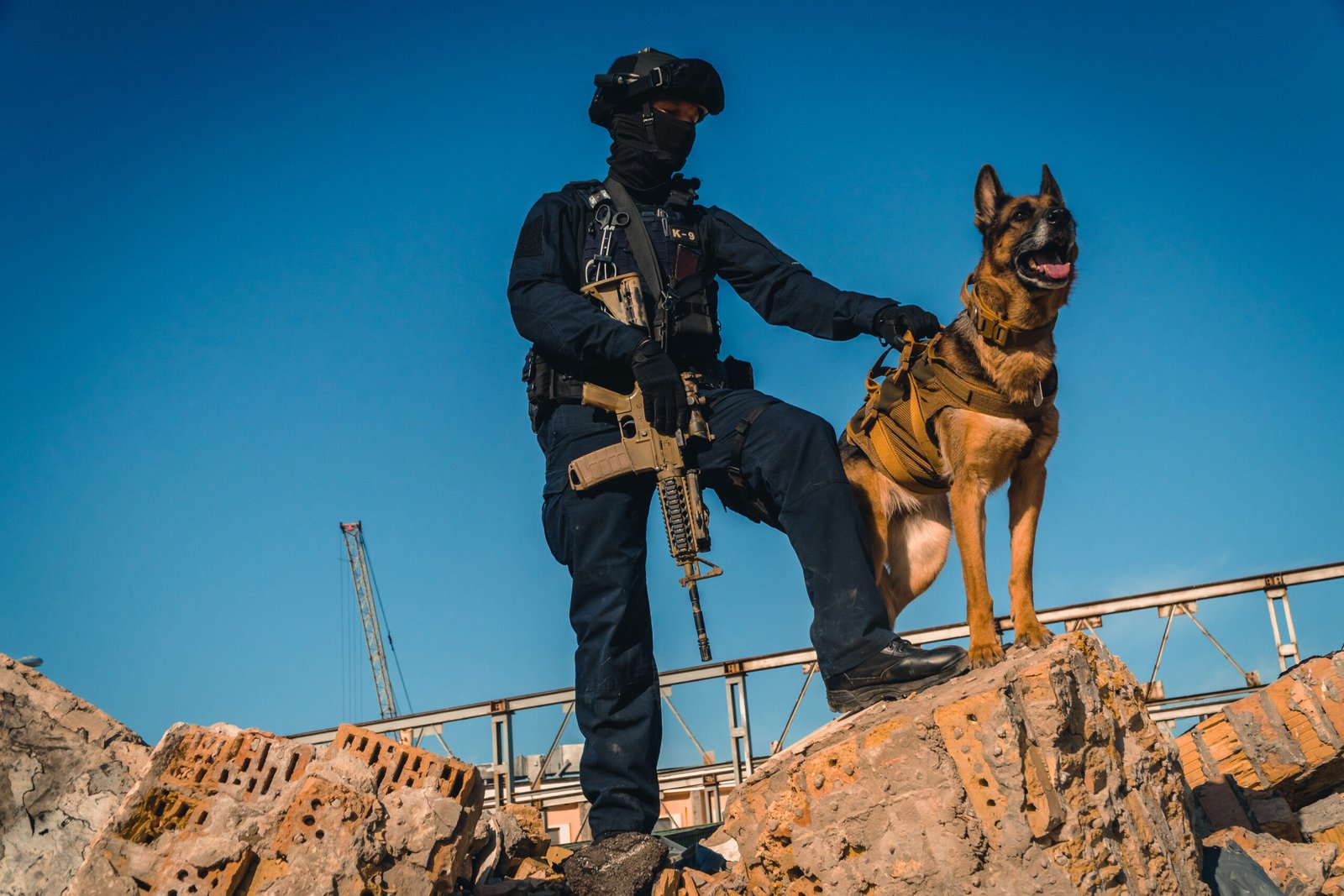 Armed Guard with K9 Partner