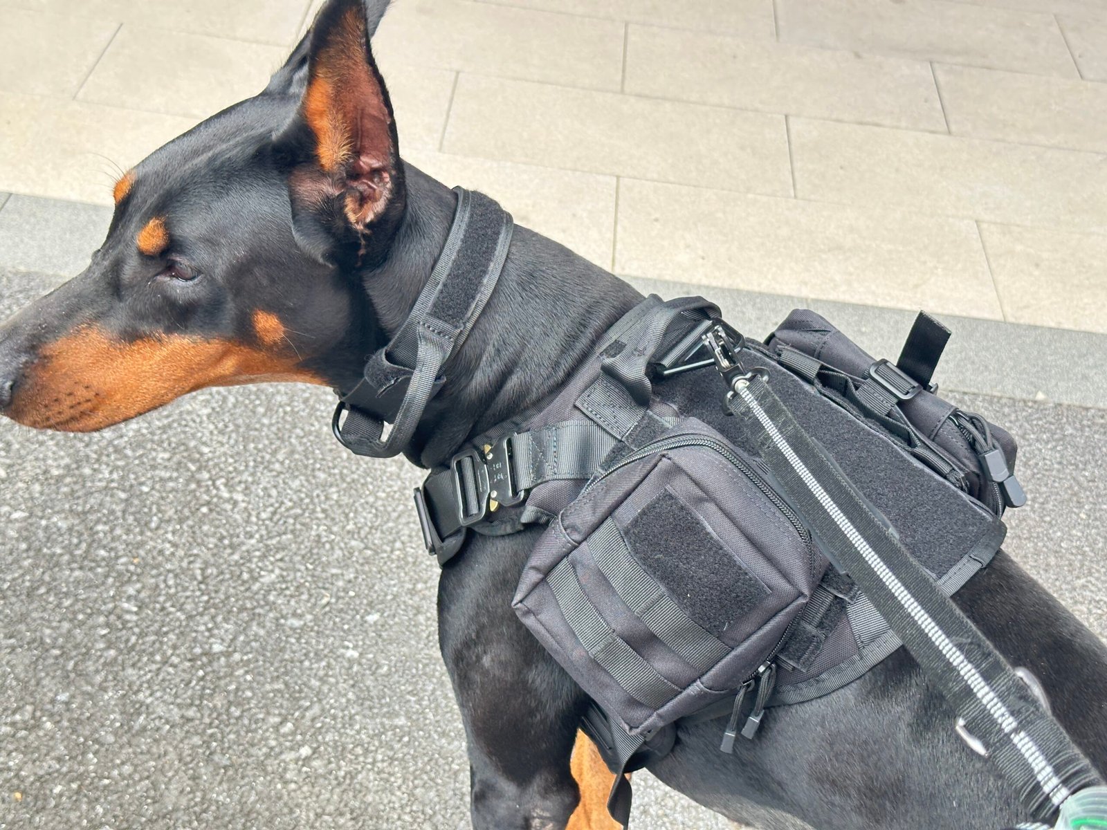 K9 tactical harness top detail for private label tactical dog gear development