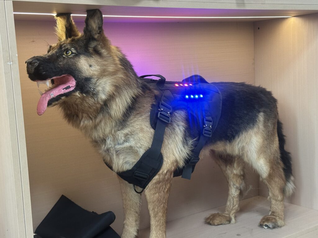 Tactical dog harness with integrated LED safety light module, OEM K9 gear manufacturer