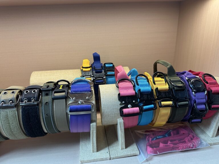 K9 collar and leash hardware reference with webbing colors, D-rings, and quick-release buckles