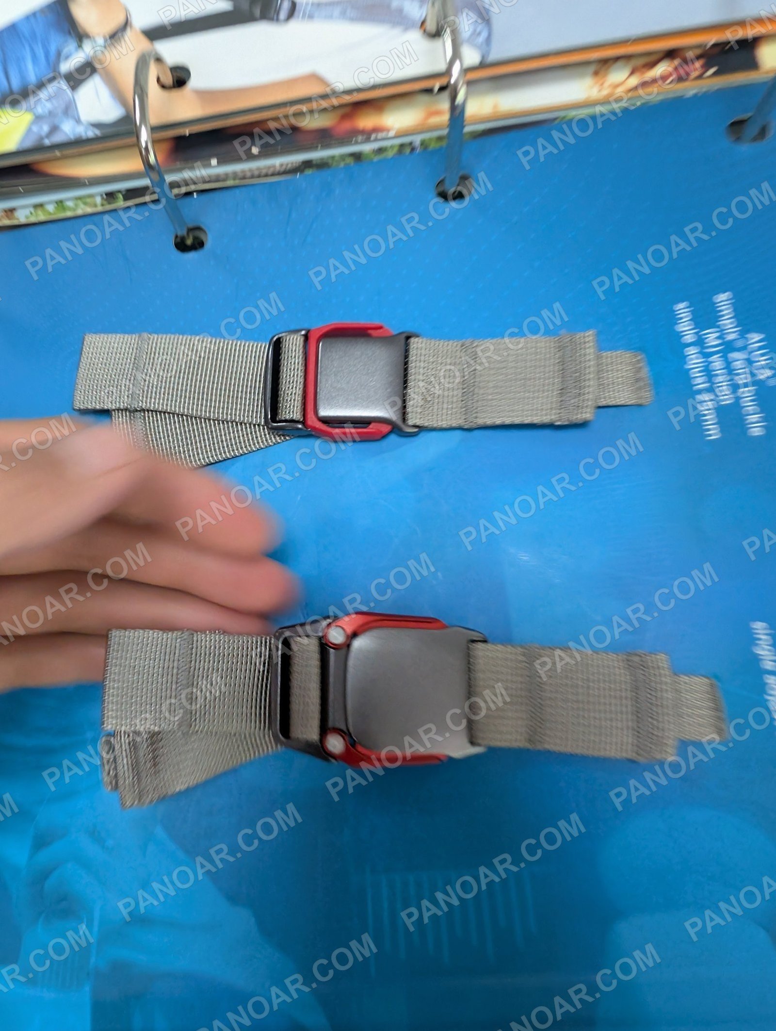 Red and dark buckles on gray webbing